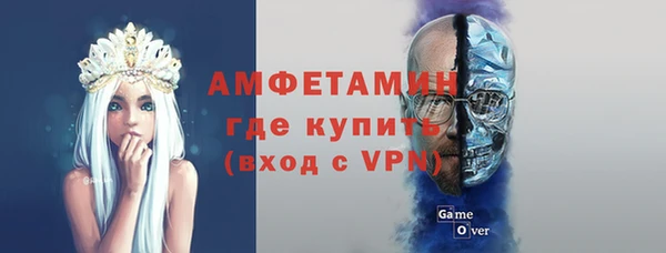 молекула духа Алексин