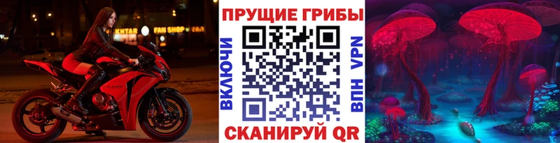mega зеркало  где можно купить наркотик  Пыталово  Галлюциногенные грибы мицелий 